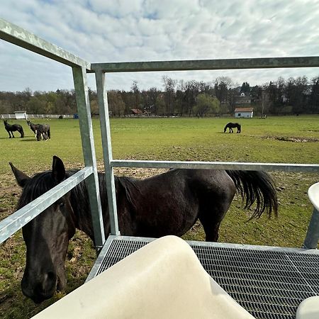 Glamping - Stylova Maringotka V Srdci Ladova Kraje, Pobliz Hlavniho Mesta Prahy Stribrna Skalice Exteriör bild