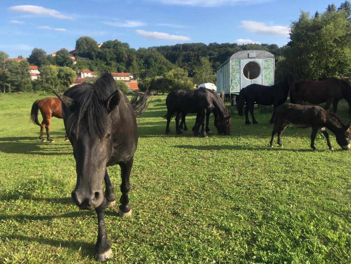 Glamping - Stylova Maringotka V Srdci Ladova Kraje, Pobliz Hlavniho Mesta Prahy Stribrna Skalice Exteriör bild