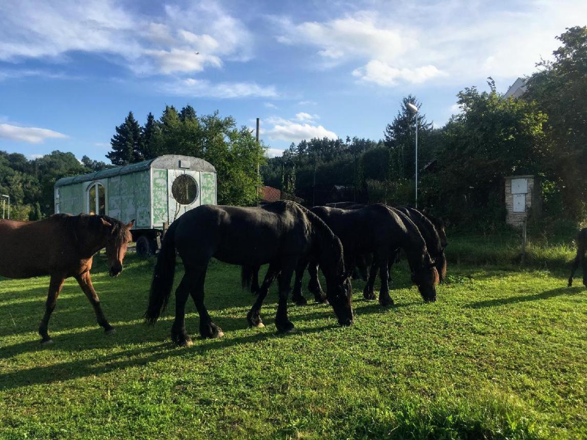 Glamping - Stylova Maringotka V Srdci Ladova Kraje, Pobliz Hlavniho Mesta Prahy Stribrna Skalice Exteriör bild
