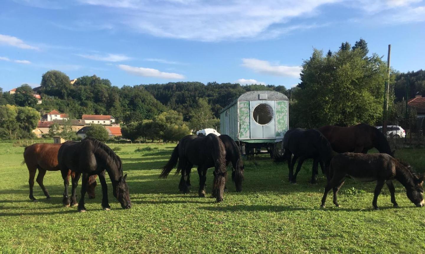 Glamping - Stylova Maringotka V Srdci Ladova Kraje, Pobliz Hlavniho Mesta Prahy Stribrna Skalice Exteriör bild