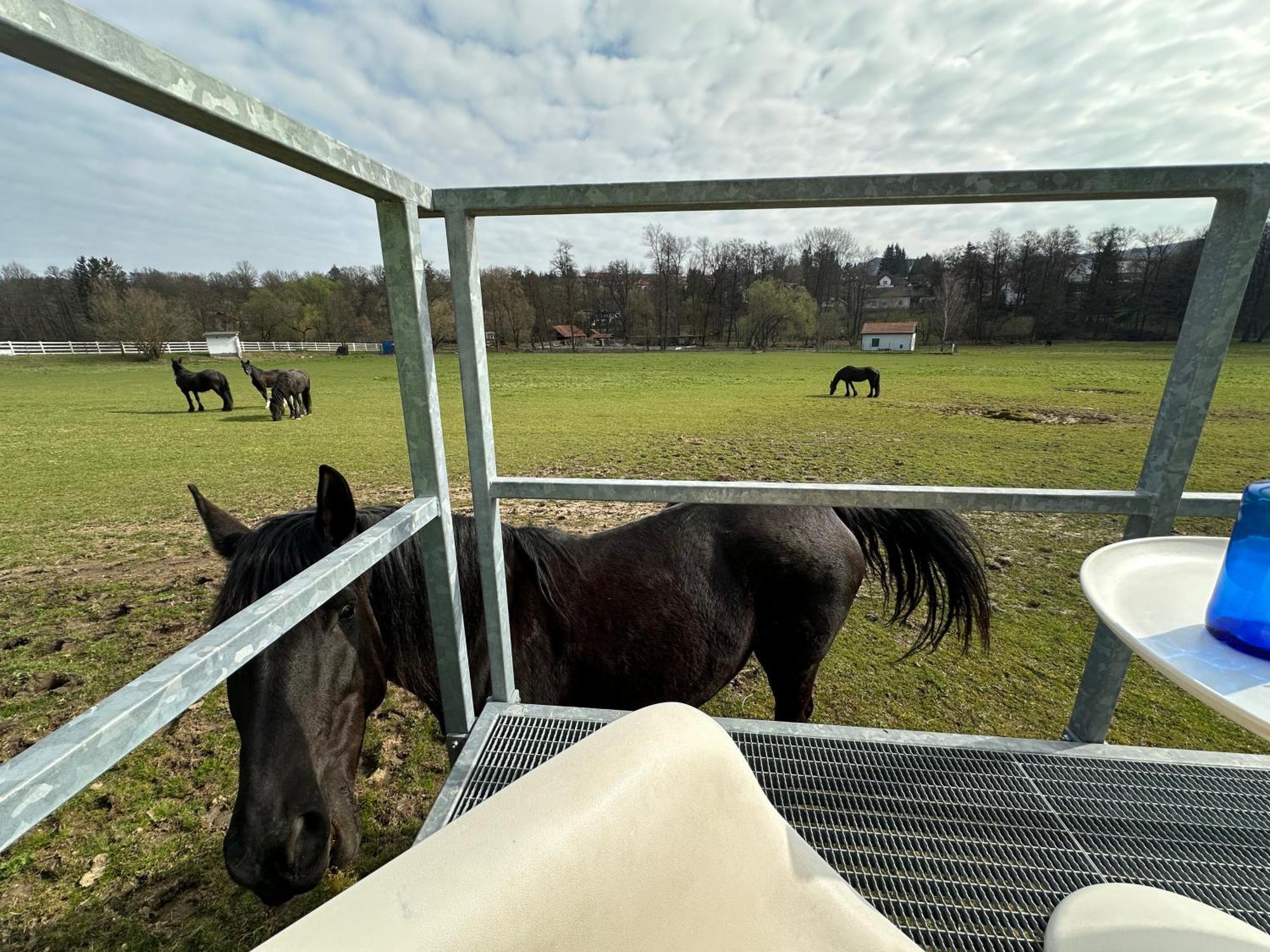 Glamping - Stylova Maringotka V Srdci Ladova Kraje, Pobliz Hlavniho Mesta Prahy Stribrna Skalice Exteriör bild